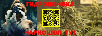 крисы Камышлов