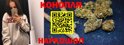 крисы Камышлов