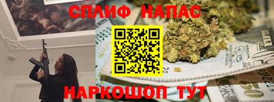 крисы Камышлов