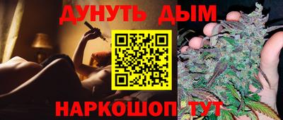 крисы Камышлов