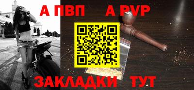 стаф Кандалакша