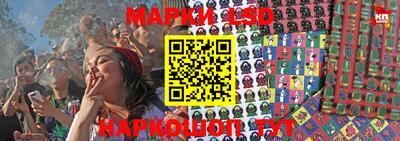стаф Кандалакша