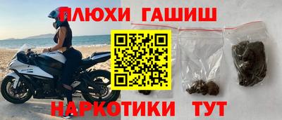 крисы Камышлов