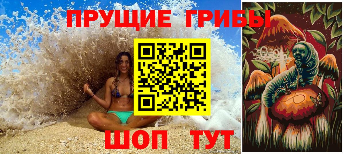 Псилоцибиновые грибы MAGIC MUSHROOMS  Вход с VPN  Кузнецк 